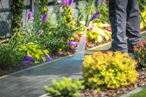 Best Post-Construction Pressure Washing  in Ashdown, AR