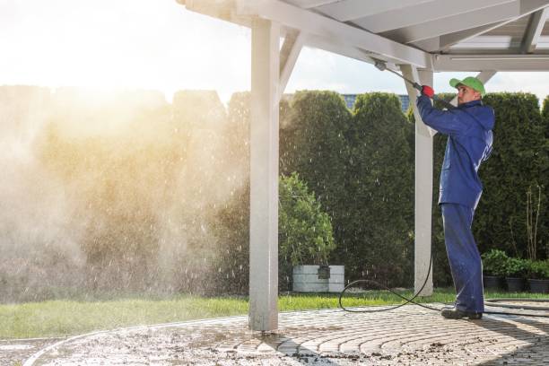 Best Soft Washing  in Ashdown, AR